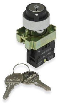 LAY5-BG41 Кнопка-ключ с возвр. мех. 3014092 фото