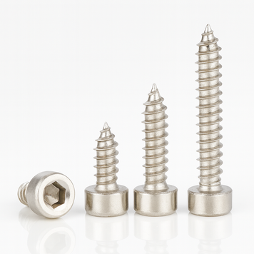 Саморіз з циліндричною головкою 2,6&times;5 мм, Нержавіюча сталь 10000145 фото